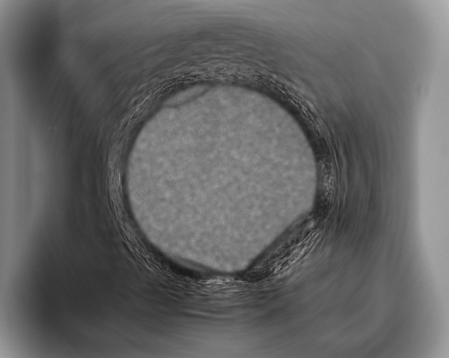 X0000095951489200802081246