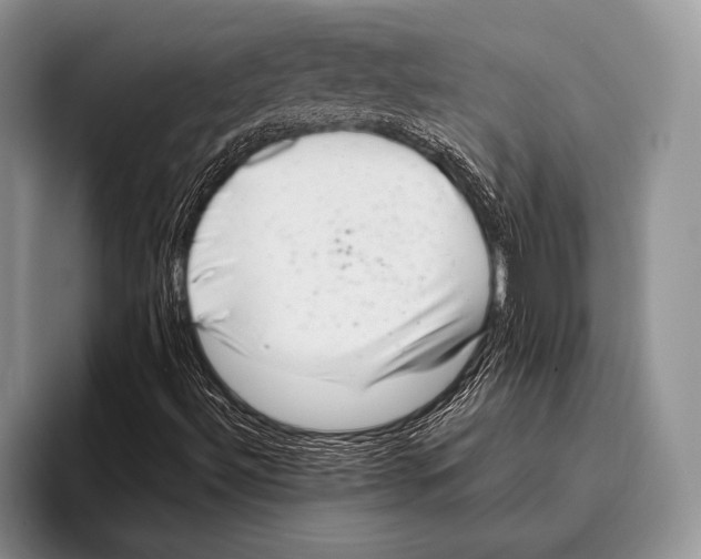 X0000095951492200802081247