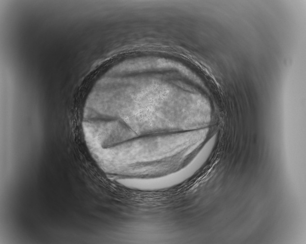 X0000095951494200802081247