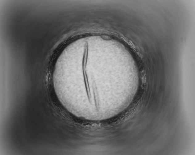 X0000095951495200802081247