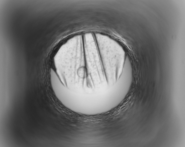 X0000095951496200802081247