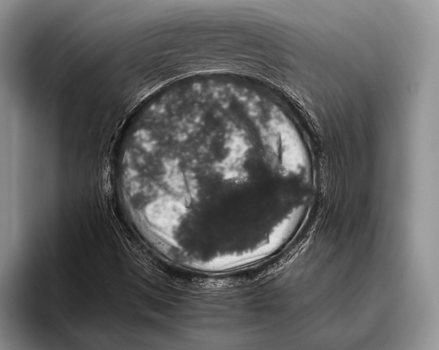 X0000095951497200802081247