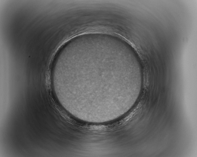 X0000095951498200802081247