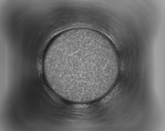 X0000095951499200802081247