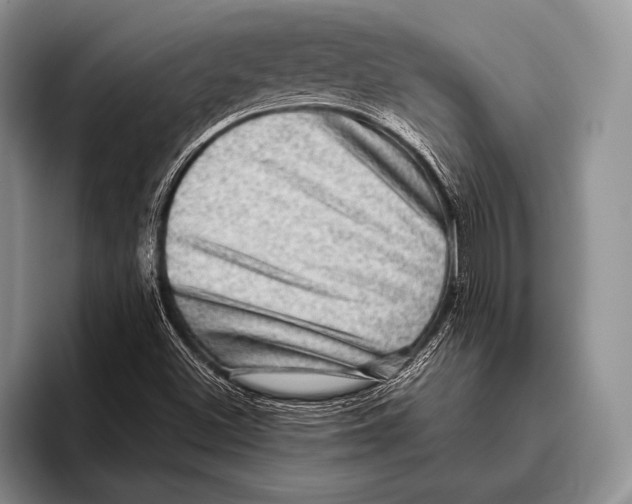 X0000095951500200802081247