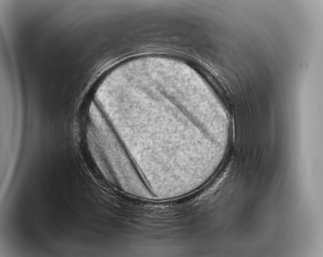 X0000095951501200802081247