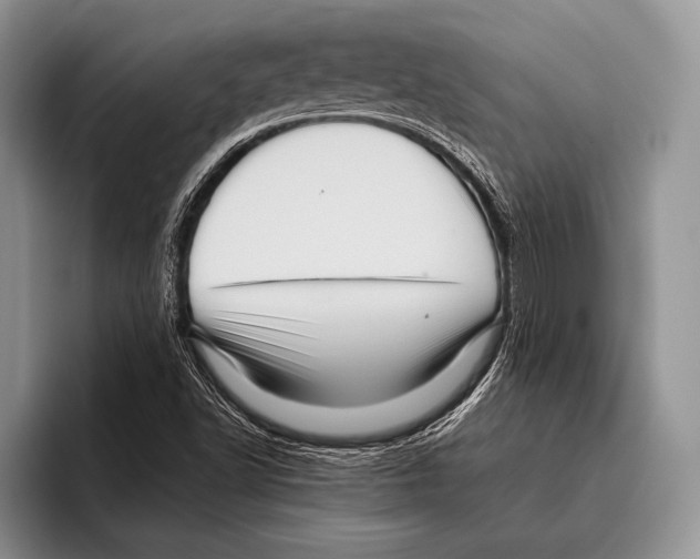 X0000095951502200802081247