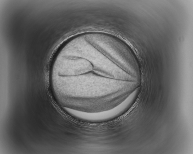 X0000095951503200802081247