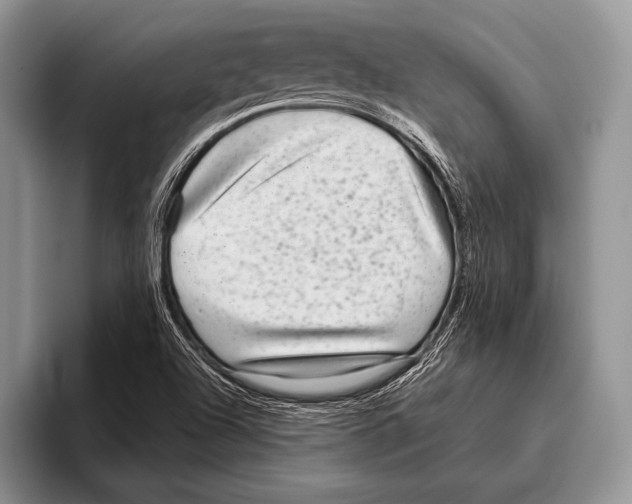 X0000095951504200802081247