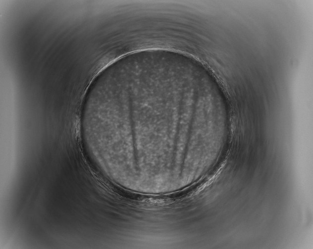 X0000095951505200802081247