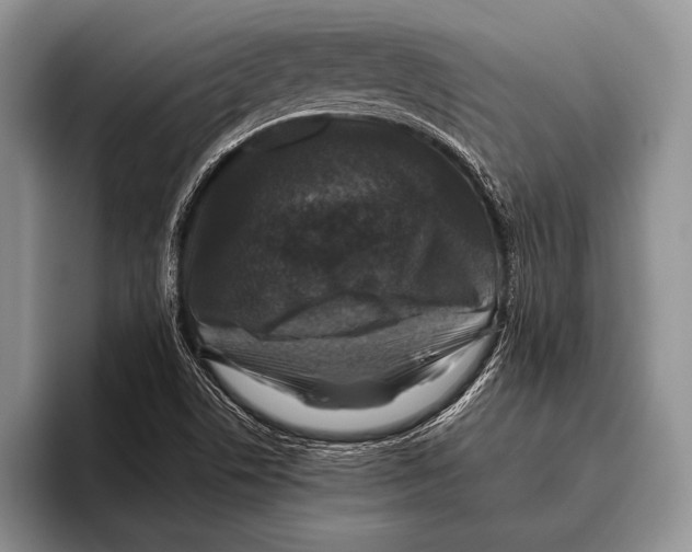 X0000095951506200802081247