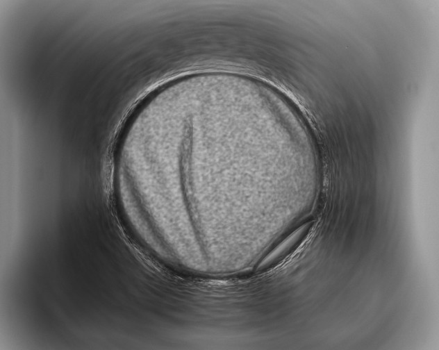 X0000095951507200802081247