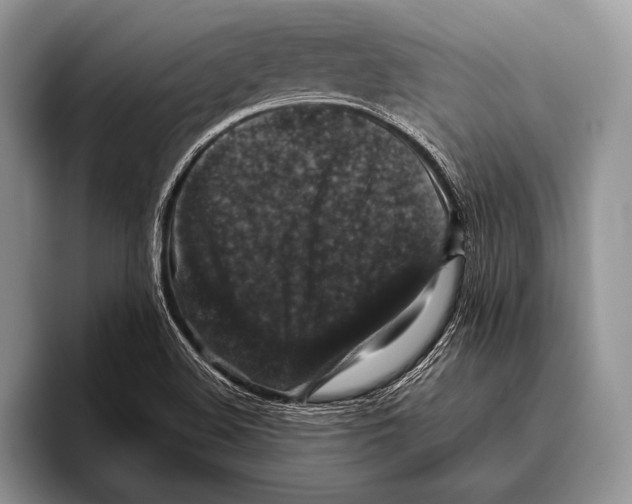 X0000095951508200802081247