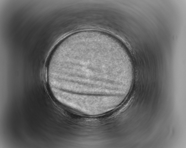 X0000095951509200802081247