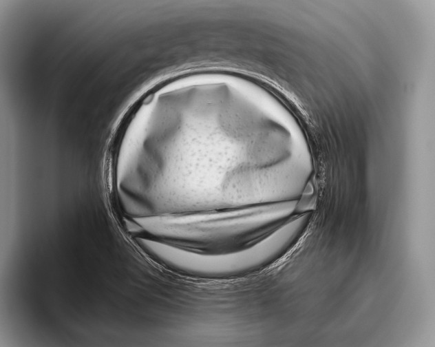 X0000095951510200802081247