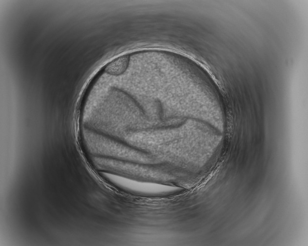 X0000095951511200802081247