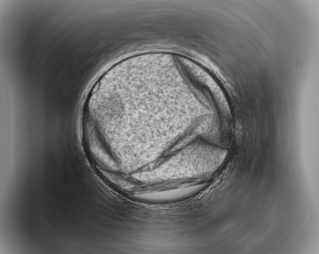 X0000095951512200802081247