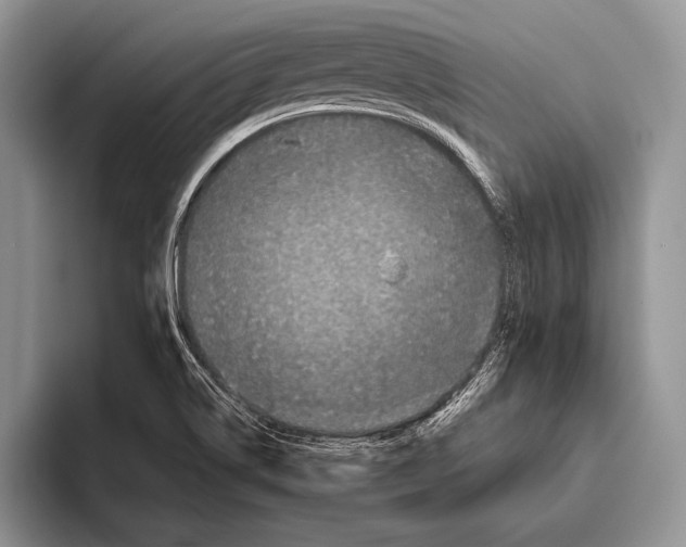 X0000095951514200802081247