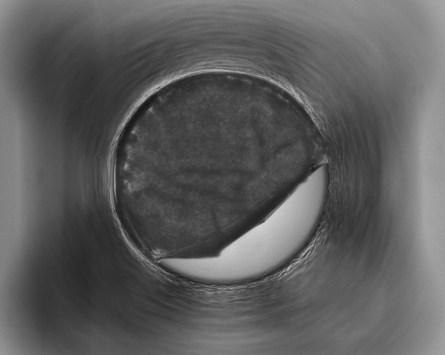 X0000095951515200802081247