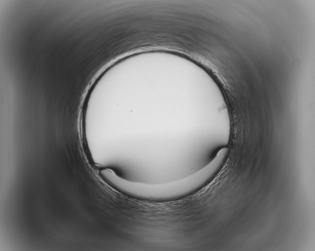 X0000095951516200802081247