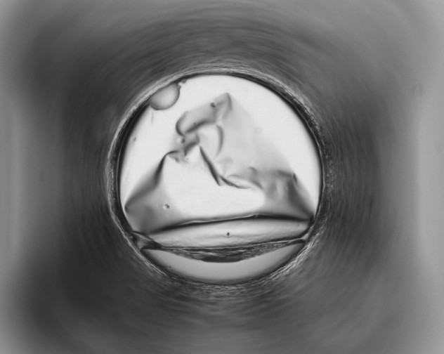 X0000095951517200802081247