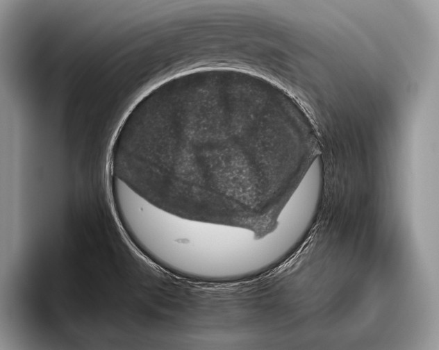 X0000095951519200802081247