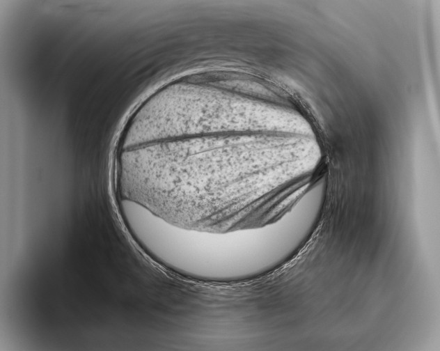 X0000095951520200802081247