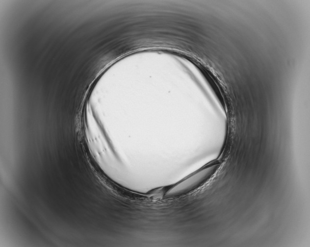 X0000095951521200802081247