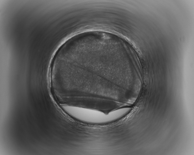 X0000095951522200802081247