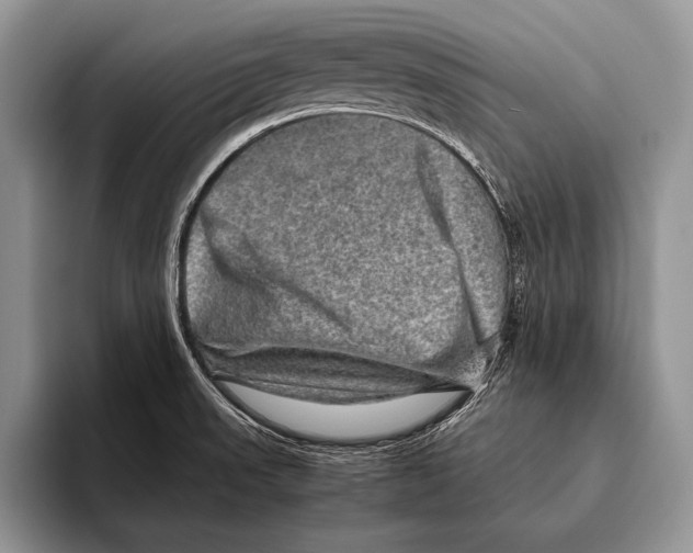 X0000095951523200802081247