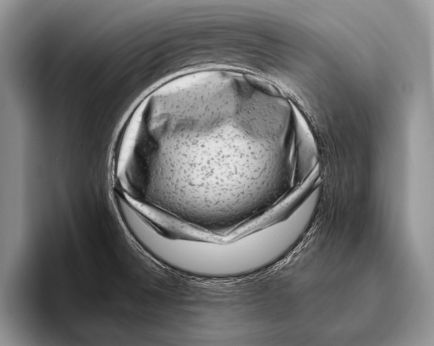 X0000095951524200802081247