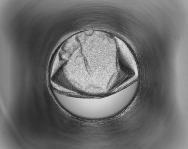 X0000095951525200802081247