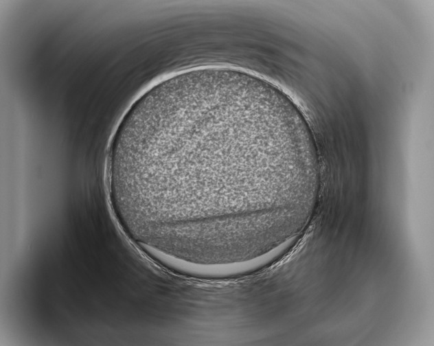 X0000095951526200802081247