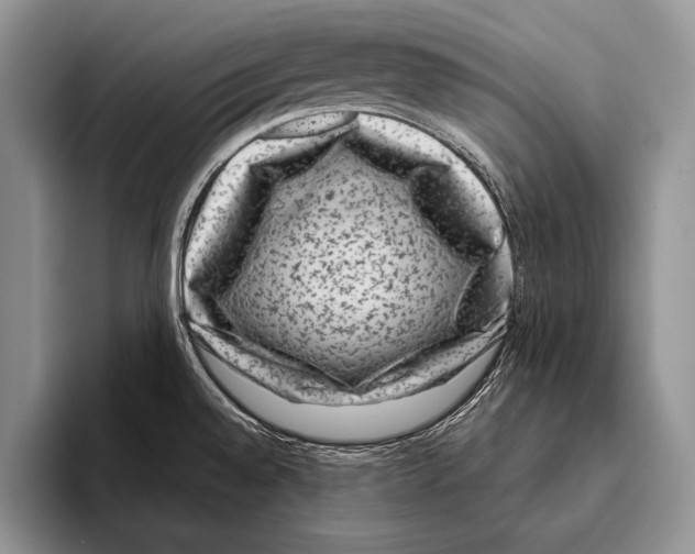 X0000095951528200802081247