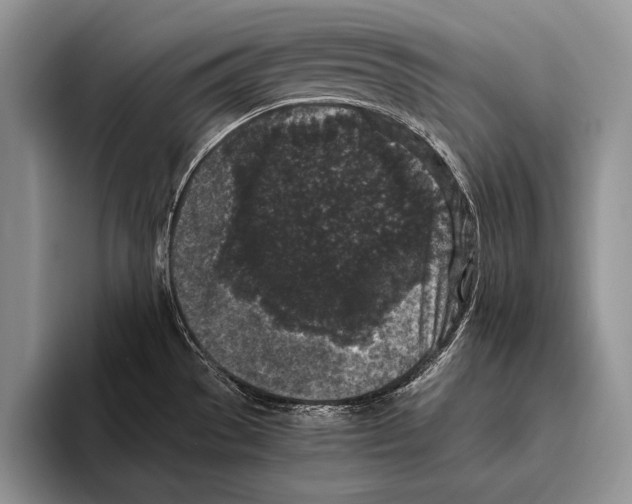 X0000095951529200802081247