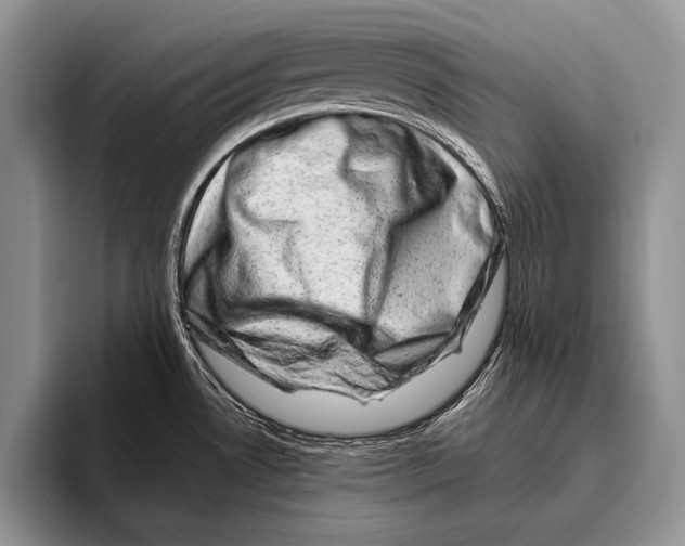 X0000095951530200802081247