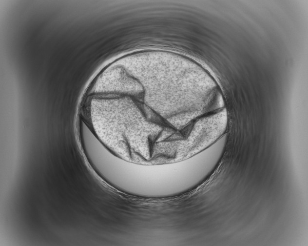 X0000095951531200802081247