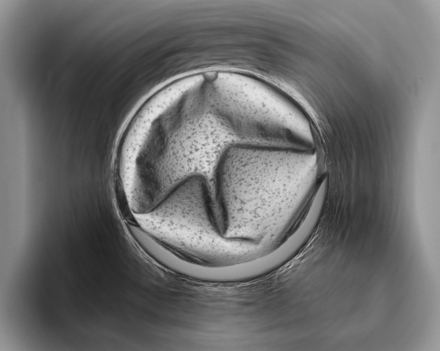 X0000095951532200802081247