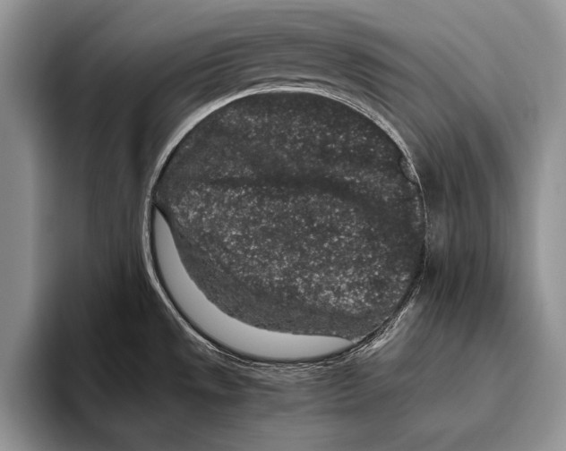 X0000095951533200802081247