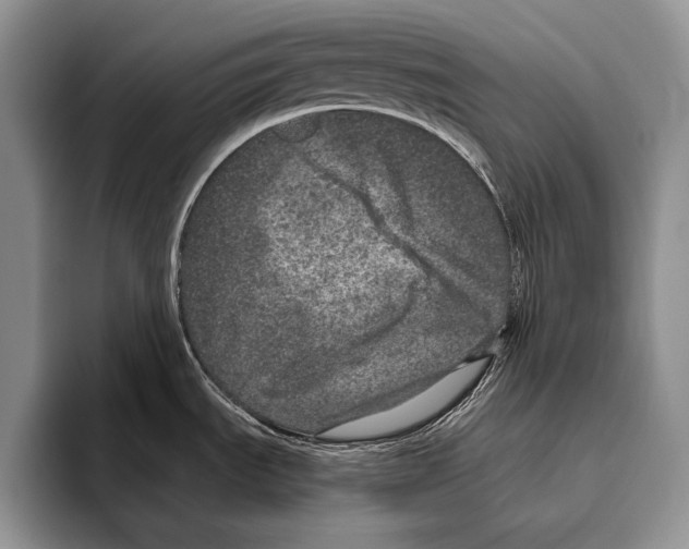 X0000095951535200802081247