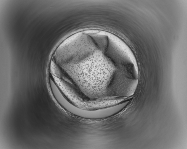 X0000095951536200802081247