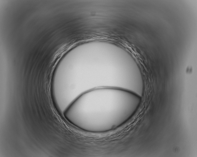 X0000095960002200801110957