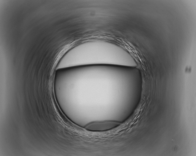 X0000095960003200801110957