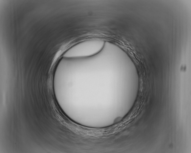 X0000095960004200801110957
