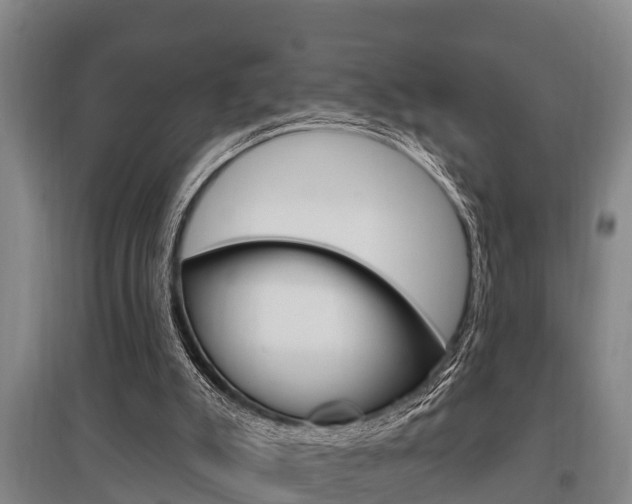 X0000095960007200801110957