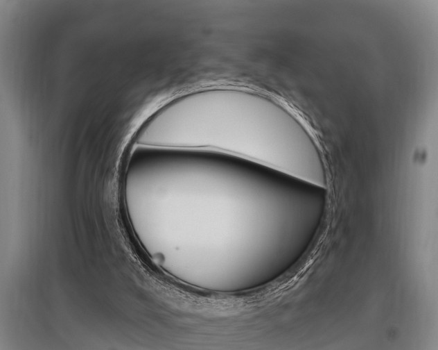 X0000095960008200801110957