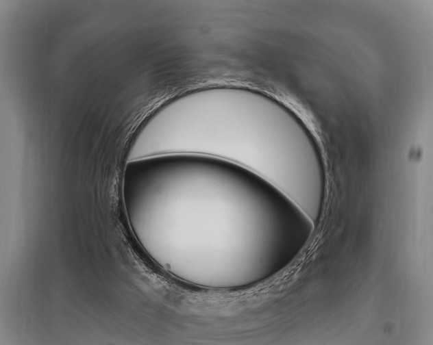 X0000095960009200801110957