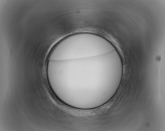 X0000095960012200801110957