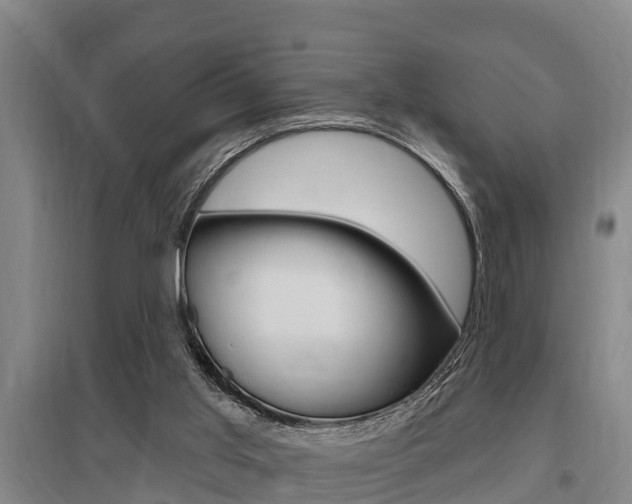 X0000095960013200801110956