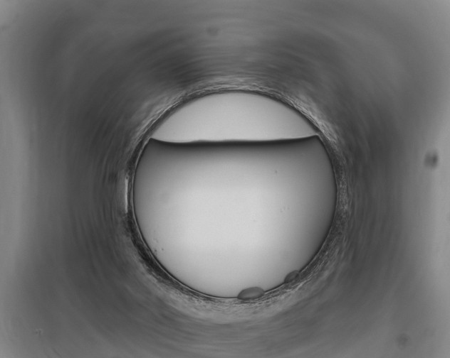 X0000095960014200801110956
